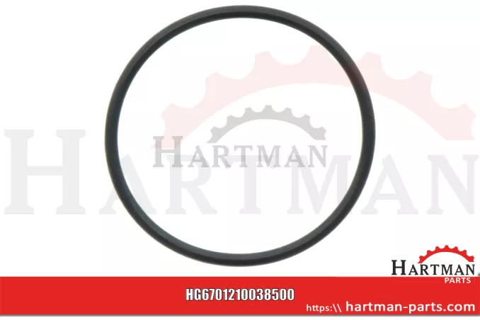 Oring 00005-00652
