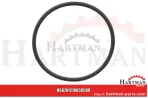 Oring 00005-00652
