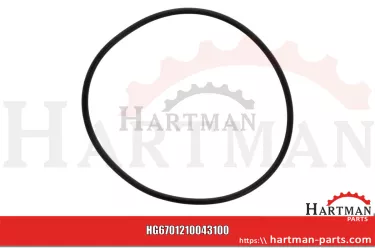 Oring 00005-00700