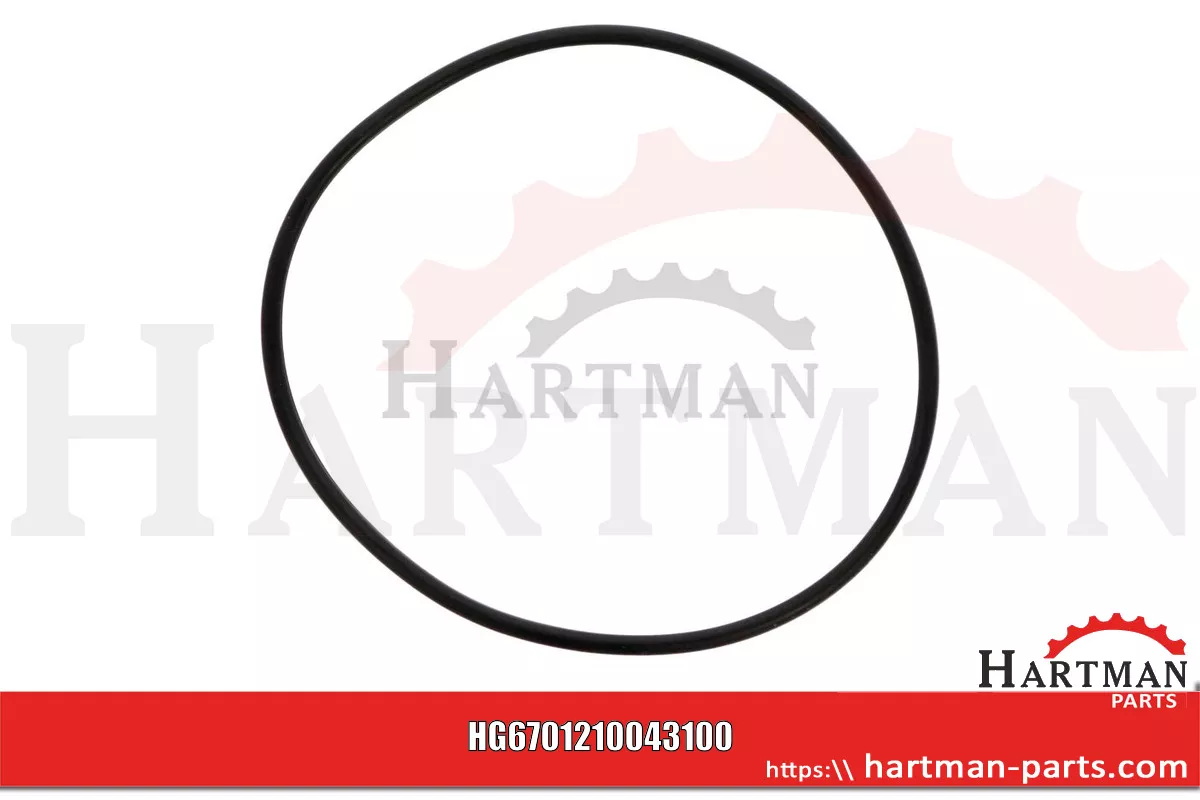 Oring 00005-00700