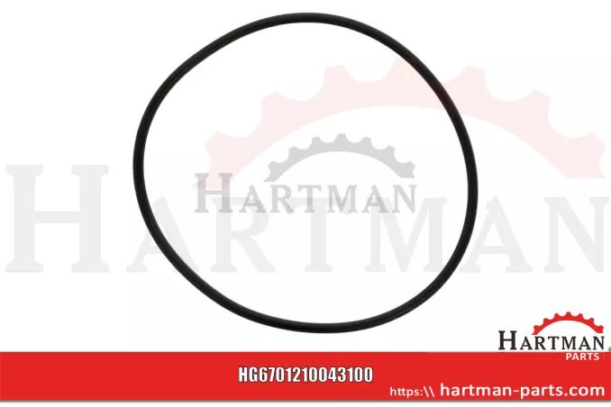 Oring 00005-00700