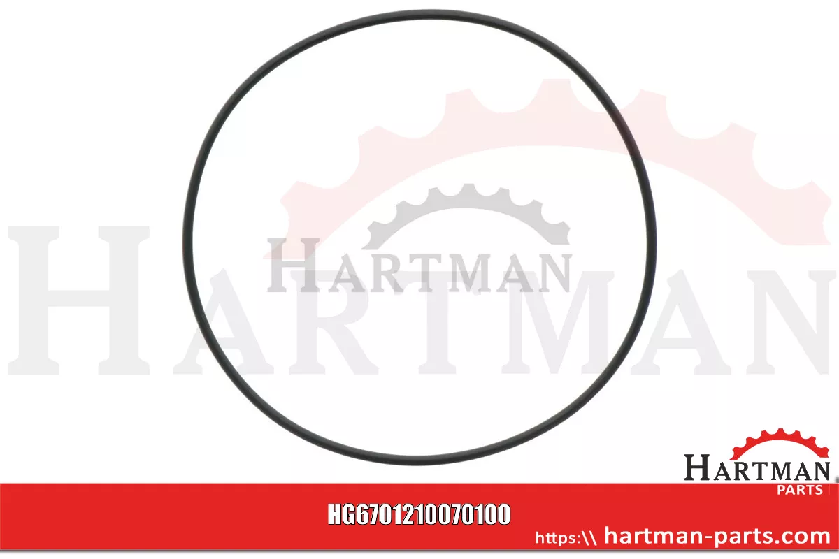 Oring 00005-00919