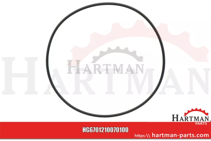 Oring 00005-00919