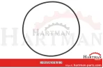 Oring 00005-00919