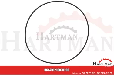 Oring 00005-00920