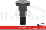Bolt Schulte 251-019