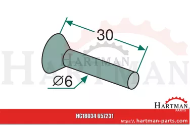 Nit z łbem wpuszczanym pakiet ok. 69 szt., 6 x 30 DIN 661 6x30TGL0-661