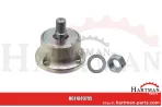 Oring Ø 80 x 3 mm 30702, RF30702