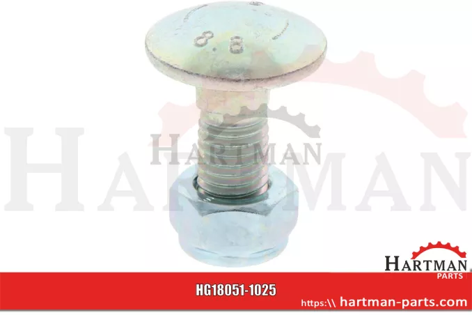 Śruba z nakrętką M12 x 1,75 x 30-8.8 50061203521