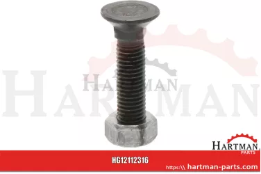 Śruba KM000301