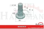 Bolt 251-018