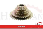 Kettenrad Gruppe (hexagonalen Achse) 10125062, 9171-C, 9171.C, 9171C
