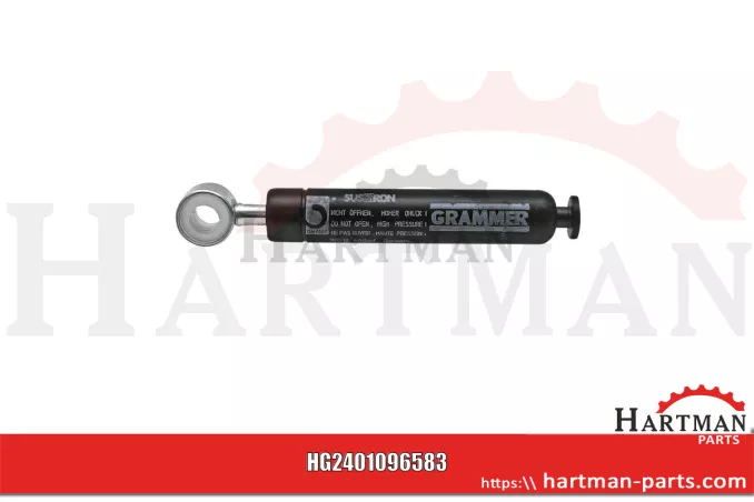 Amortyzator 118432