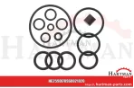 Zestaw uszczelek pasuje do 85219002, G178960022011, G178960021011 F178