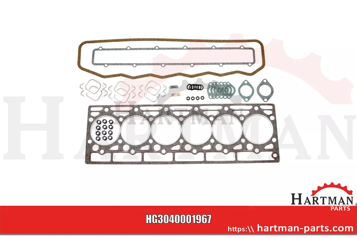 Zestaw uszczelek głowicy silnika 1967013C1, 3136817R99,02