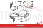 Zestaw uszczelek głowicy silnika 1967013C1, 3136817R99,02