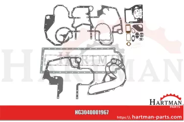 Zestaw uszczelek dolnych 3136801R99,08