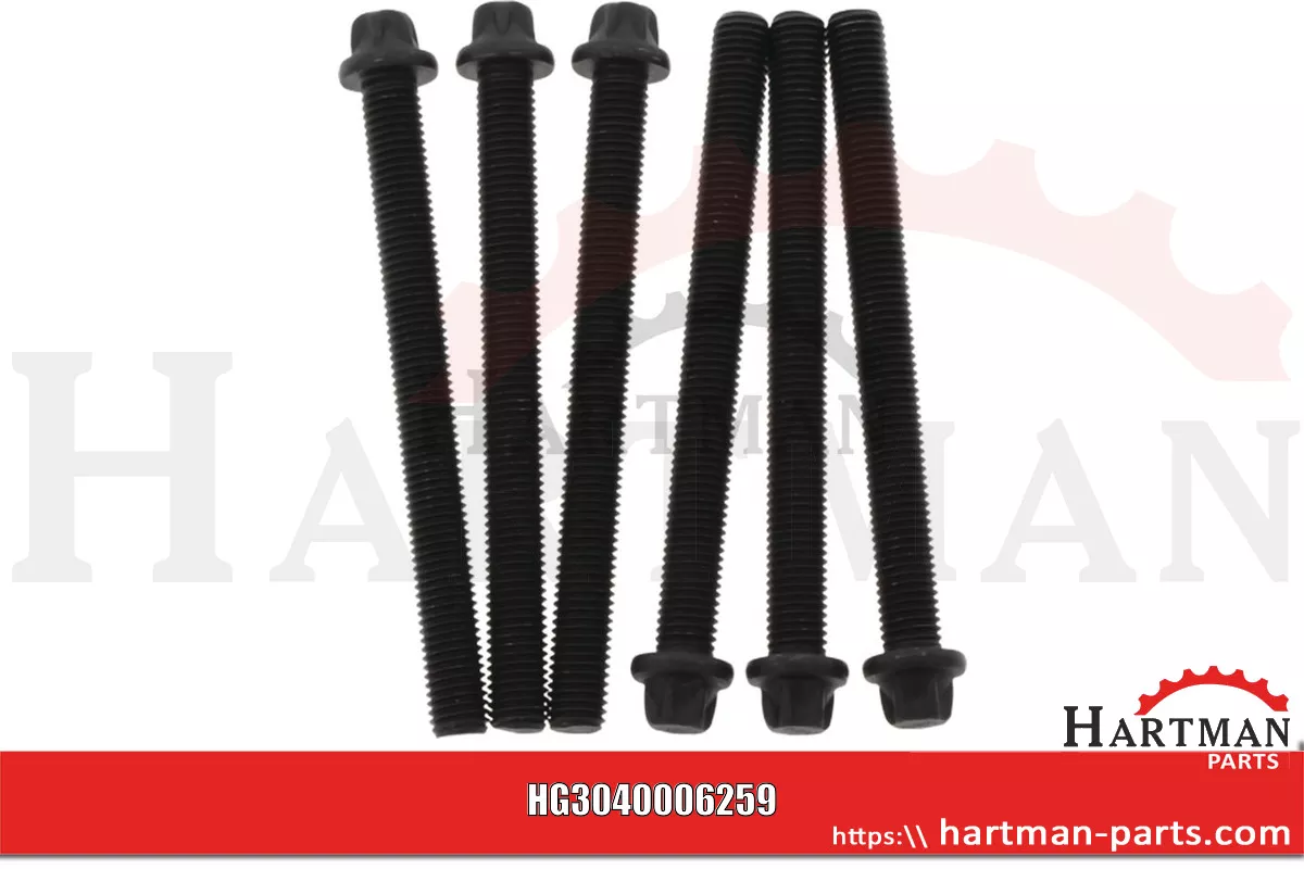 Zestaw śrub głowicy 6 szt. M14 x 151 mm 6x 04270815