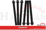 Zestaw śrub głowicy 6 szt. M14 x 151 mm 6x 04270815