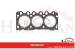 Uszczelka głowicy silnika grubość 1,6 mm 2 otwory 04178855, 04271263,6