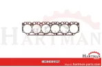 Uszczelka głowicy silnika grubość 1,7 mm 3 otwory 04201561, 0480768,61