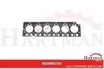 Uszczelka głowicy cylindra 2 otwory F718202210140, F716201210690, F718