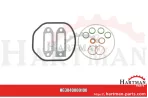 Uszczelka kolektora wydechowego F214202100030, F100004157247, F1000033