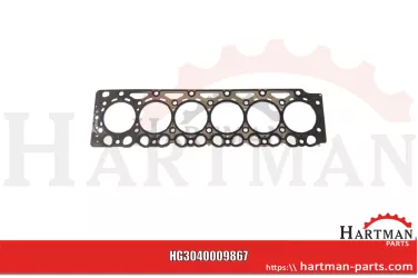 Zestaw uszczelek bez uszczelki głowicy cylindra F743200210220, F743200