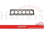 Zestaw uszczelek bez uszczelki głowicy cylindra F743200210220, F743200