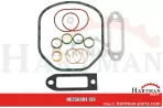 Zestaw uszczelek 02910165,004