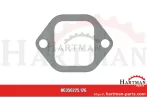 Uszczelka kolektora wydechowego 4031420380,225