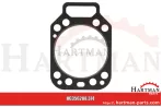 Uszczelka głowicy cylindra Grubość: 1,4 mm F138211210040,288