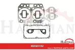 Zestaw uszczelek F824200211010,835