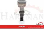 Timan Halter