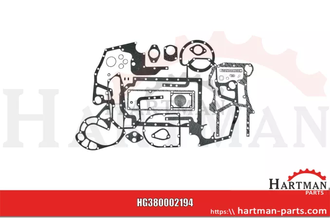Zestaw uszczelek dolnych 3136802R99,518