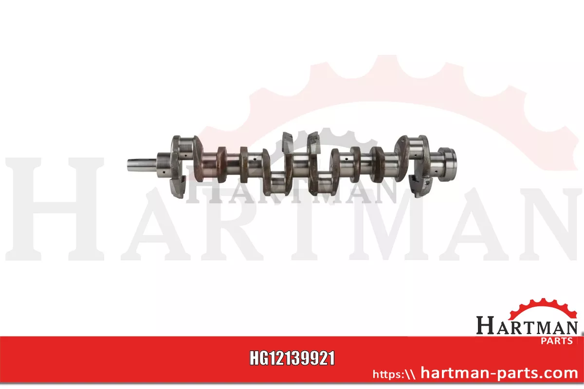 Wał korbowy mit 2 Keilnuten 4 Gegengewichte mit Bolzenbefestigung 8900