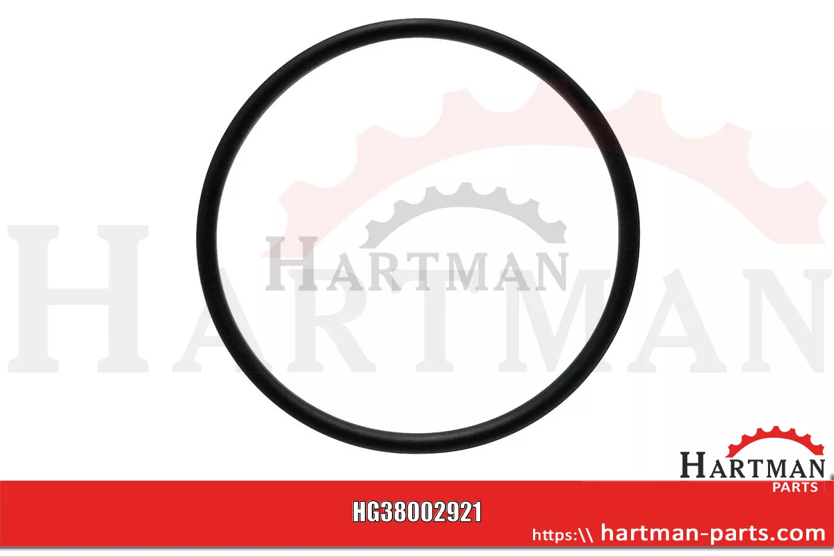 Oring 704100R1,704100