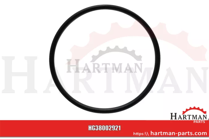 Oring 704100R1,704100