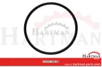 Oring 704100R1,704100