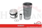 Oring 704100R1,704100