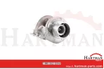 Turbosprężarka Schwitzer F412200090030,319073
