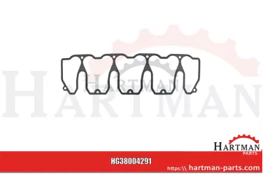 Uszczelka pokrywy zaworu 04198796, 04800588,890