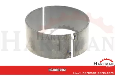 Panewka główna standard 02929100, 04800186