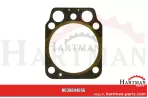 Oring 9,19 x 2,62 mm do pokrywy zaworu 2.1539.151.0, 0.078.1450.3, 0.0