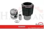Zestaw naprawczy silnika 5 pierścieni, Ø 95 mm Ø sworznia 35 x 80 mm