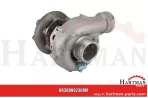 Turbosprężarka Reman F310200090010,53249906409