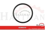 Oring F926202710690