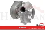 Turbosprężarka Reman F718202090010,53269906501