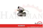 Uszczelka od kolektora wydechowego do turbosprężarki F930200090020, F8