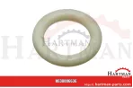 Oring F024200410170